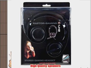Raptor Gaming LH2 Headset