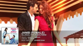 Janib Female FULL AUDIO Song Sunidhi Chauhan Divyendu Sharma Dilliwaali Zaalim Girlfriend