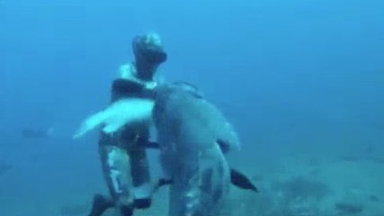 The big fish eat the little ! He was robbed of his fish