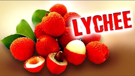 How to Pronounce 'LYCHEE'? video dailymotion
