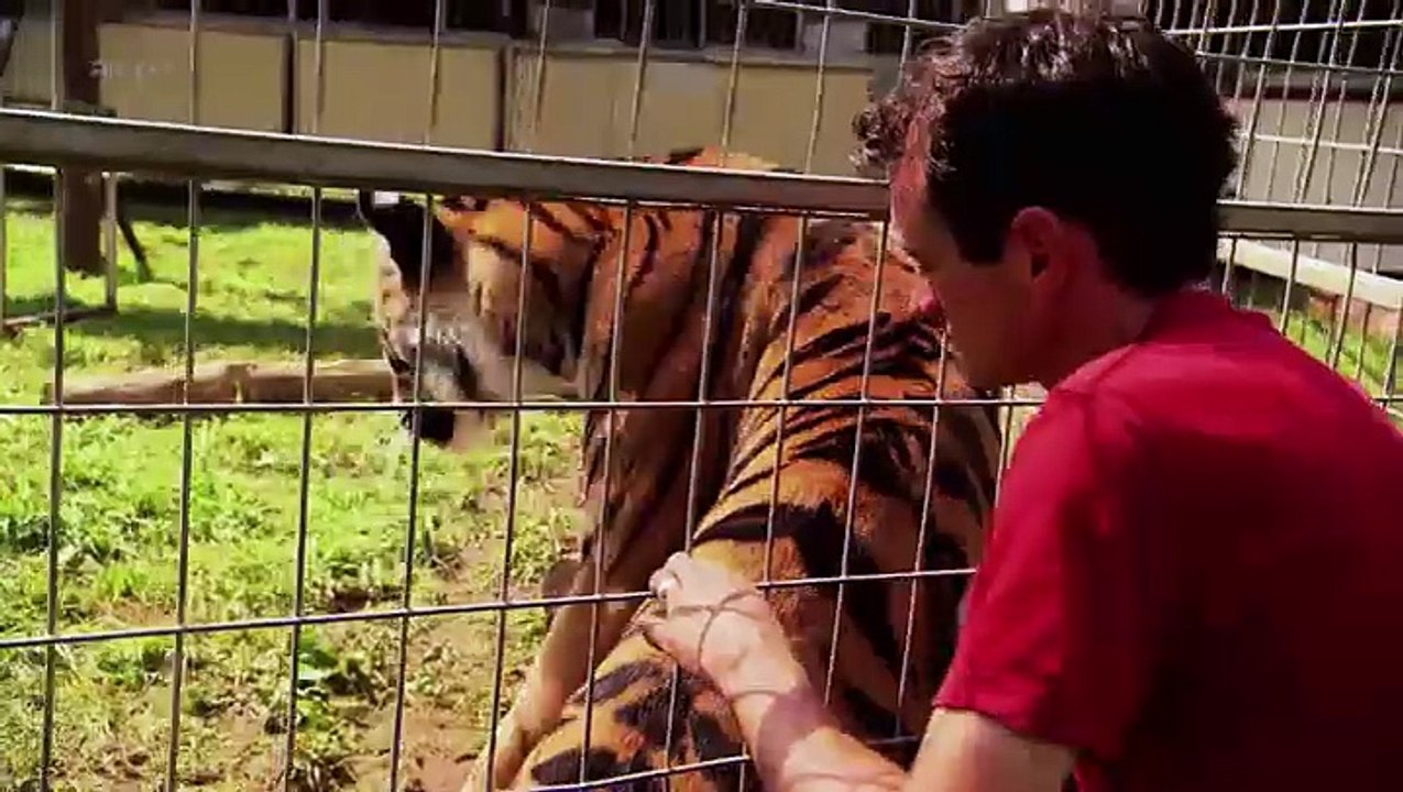 Peut-on apprivoiser les animaux sauvages_Xenius