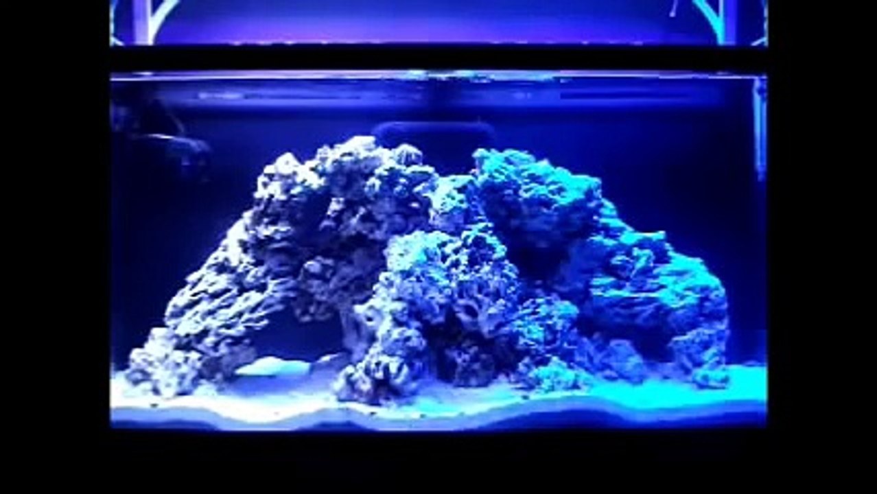 LED Sunrise/Set - 1st Run - Arduino Controlled