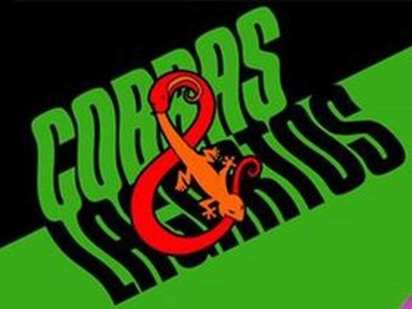 ⁣Змеи и ящерицы / Cobras & Lagartos (2006)