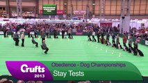Obedience Dog Championships - Day 3 - Stay Tests - Crufts 2013