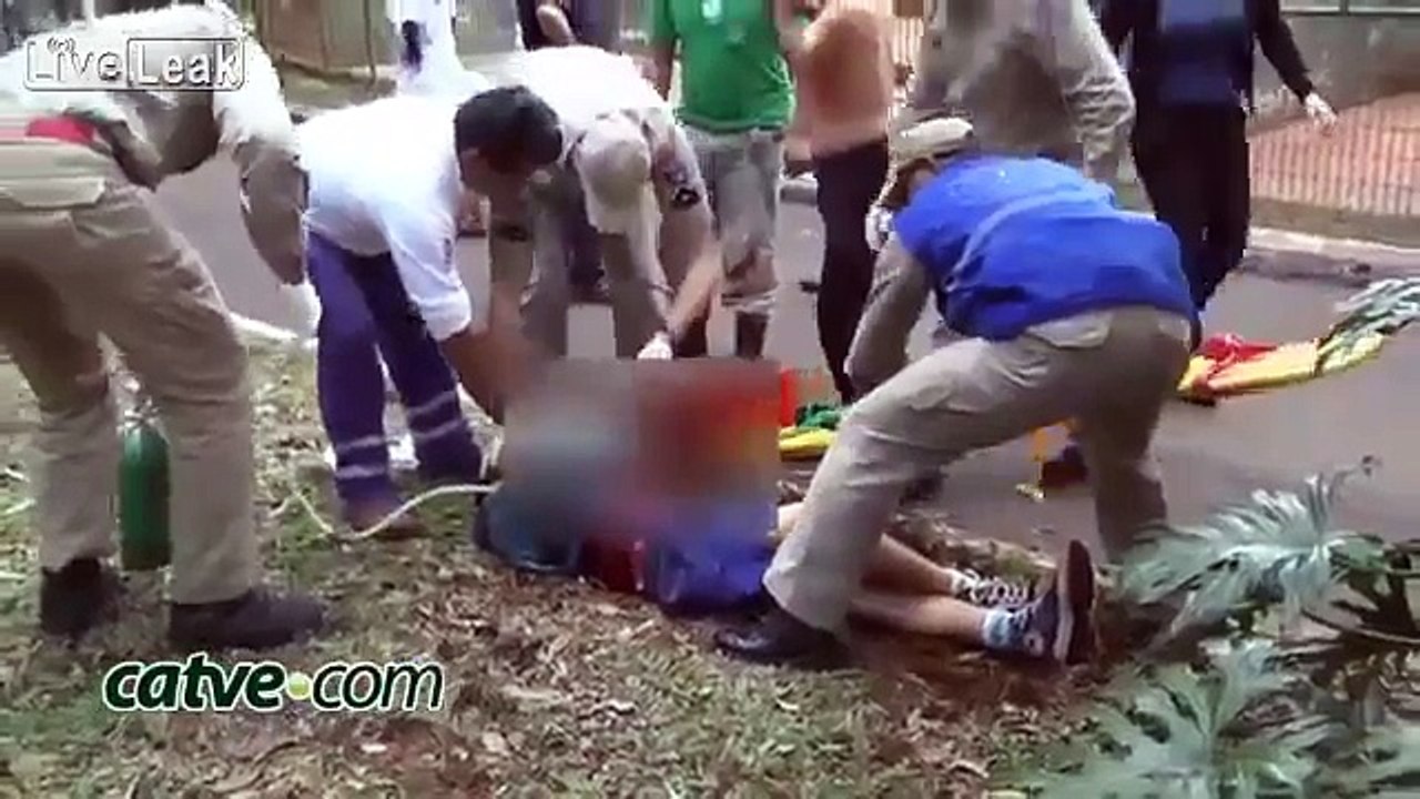 Tiger Attack  Boy Loses Arm At Brazil Zoo