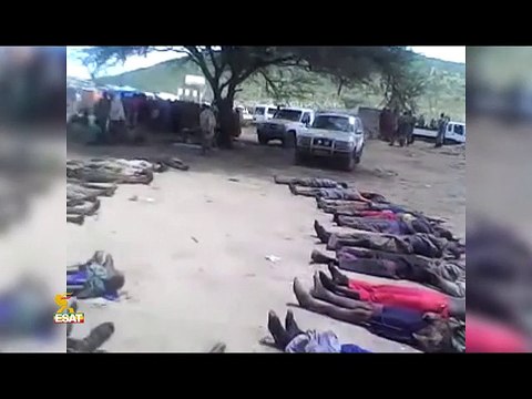 ESAT Daily News Amsterdam June 09 2015 Ethiopia