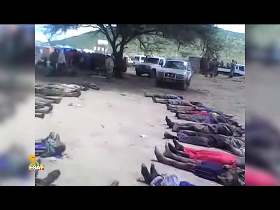 ESAT Daily News Amsterdam June 09 2015 Ethiopia