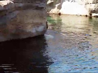 Zoo am Meer Bremerhaven