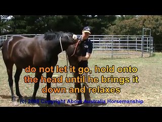 Horse Training Worming