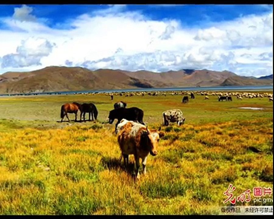 Agnes Chan - Wilderness Idyll  1980  原野牧歌陈美龄  荒野牧歌アグネス•チャン