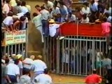 Bull Attacks Woman