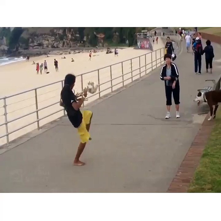 Le retour du chien jongleur !