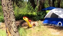 Best Outdoor and Camping Fails || FailArmy Compilation