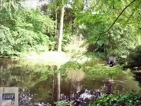 Dynamo Walks on Water REVEALED Criss Angel walking: Magic Tricks