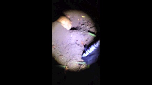 Policiais encontram material roubado de delegacias