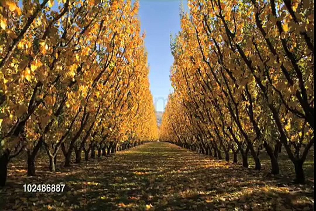 RON PAUL 2012 AWAKENING - Esther Hicks Channeling Abraham - Now We Are Free!