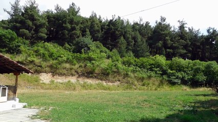 Αγ. Νικόλαος, Ίδα3