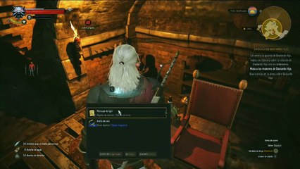 The witcher Wild hunt, parte 53, La Arena de Bastardo Hijo 2