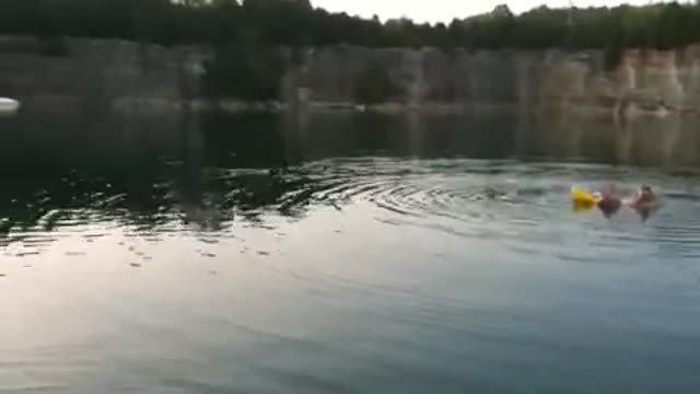 Jack Russell snatches fish from water!
