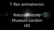Dinosaur T-Rex animatronics Natural History Museum London HD 2013