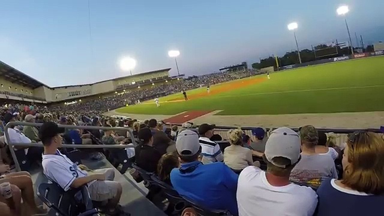 Barehanded baseball line drive catch ( ORIGINAL )