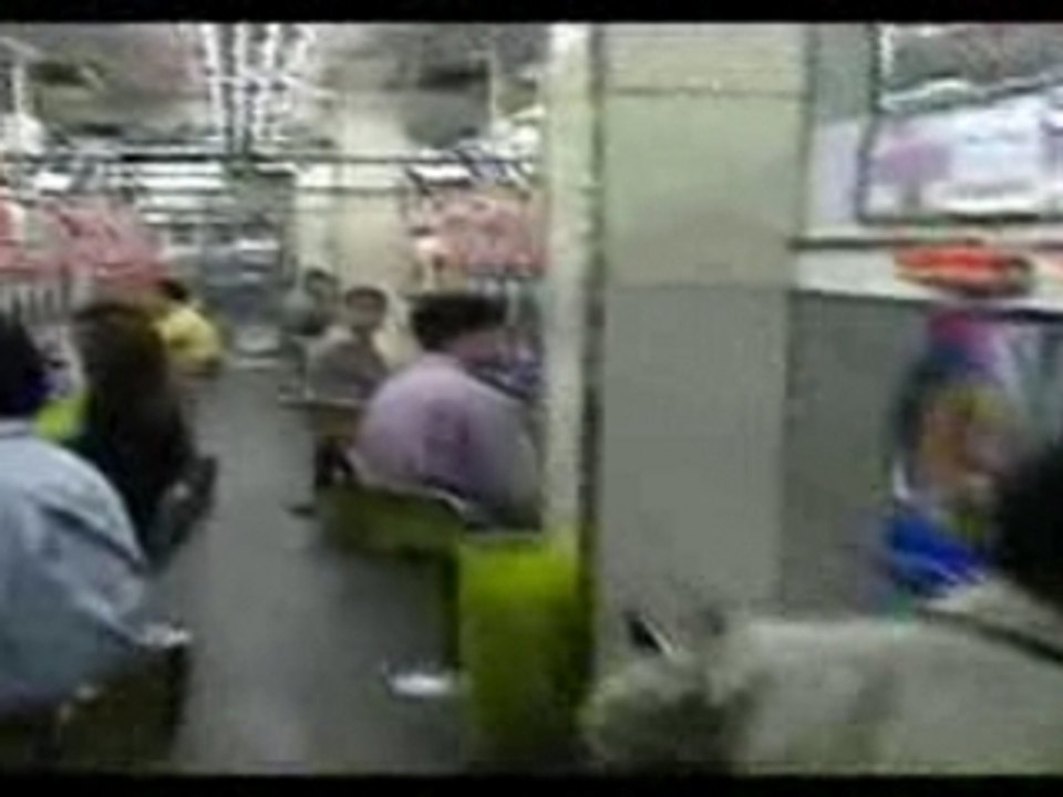 Avoir 20 ans au Japon partie 2