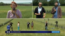 Semaine de la coopération agricole à Carisey : Direct 12/13 France 3 Bourgogne