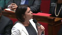 Gens du voyage :  S. Pinel répond à une QAG