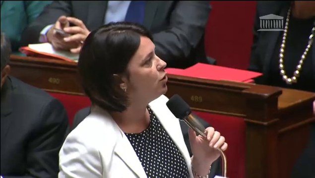 Gens du voyage : S. Pinel répond à une QAG