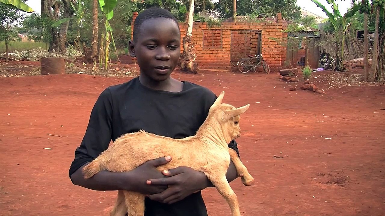 Goat milk pays for school