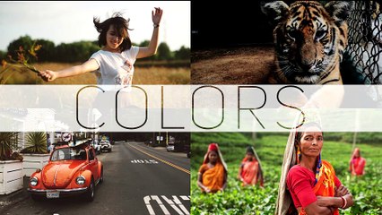 After Effects Project Files - COLORS - Photo Video Gallery - VideoHive 10437326
