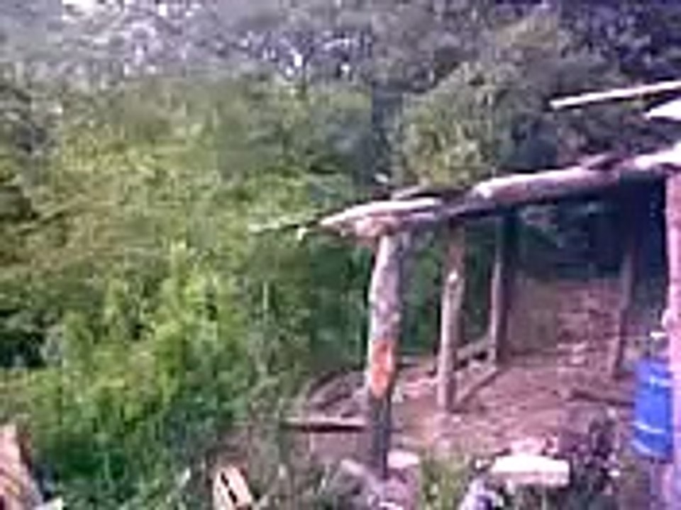 CANTO de Pajaro del Bosquecordillerano AVE SILVESTRE CHILE, CHERCAN