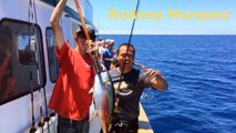 Yellowfin Tuna Fishing- Malihini - H&M Landing - San Diego, CA