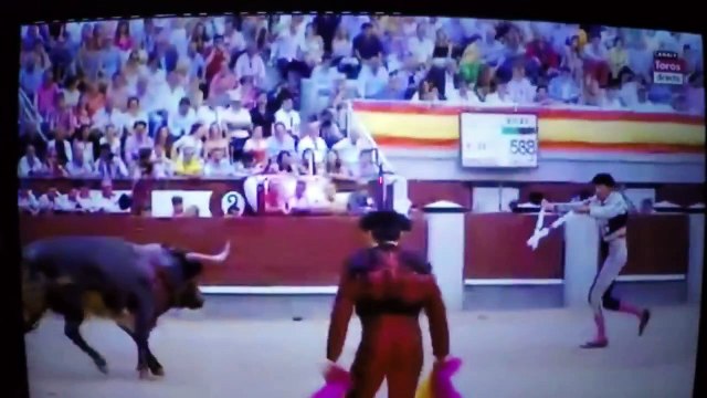 Toureiro leva a pior e perde um dos testículos durante tourada