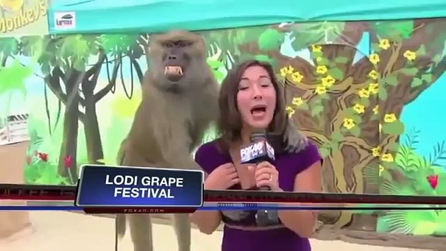 Funny Videos - Epic Fails - Fail Compilation | News Fails - Funny Bloopers