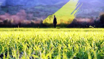 TIRE SUT KOOP REKLAM FILMI 09.06.2015