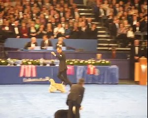 AKC/Eukanuba 02.12.2007 CH VERY VIGIE VAMOS A LA PLAYA