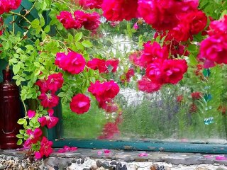 Uzun Yağmurlardan Sonra - Suavi & Ferayi A.Serim