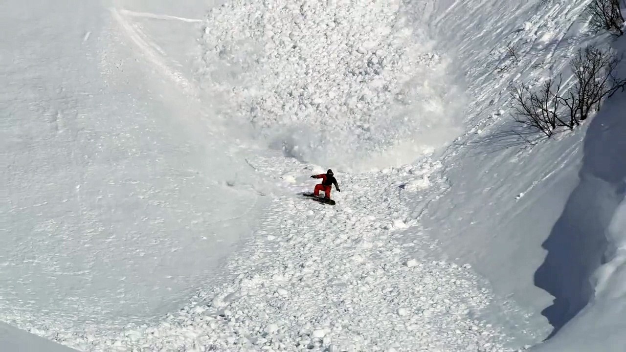 Lièvre vs Avalanche