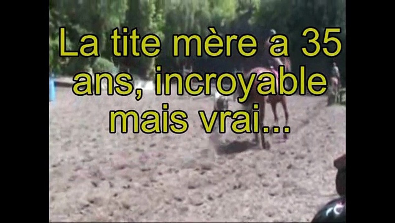 des chevaux heureux