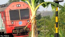 Kereta Diesel - Sriwedari Express - Komuter Line Solo Jogja (Kereta Api Indonesia Terbaru)