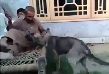 Eh Ki Kari Janda....Ha Ha