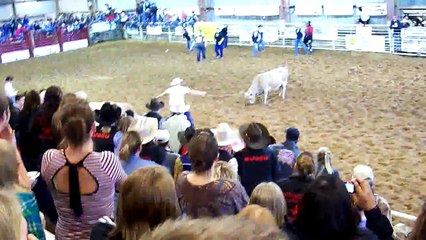NWOSU Wild Cow Milking