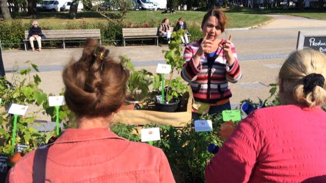 Succès du premier marché bio et local