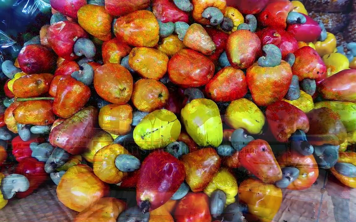 Péninsule du Yucatan