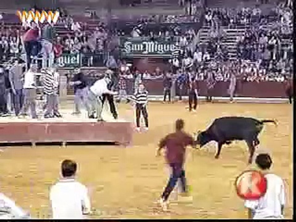 Bull Fight