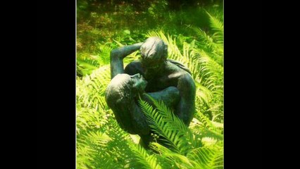 Rippert Réapprendre à s'aimer HD