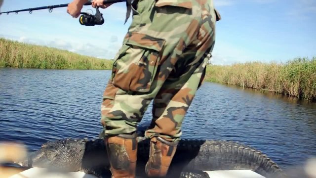 Alligator Hunting Lake Okeechobee Florida 13' Bull Gator AVI