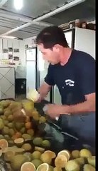 Fruit Ninja! haha?syndication=228326