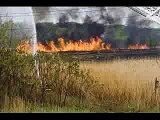 Fire scorches Quincy marsh